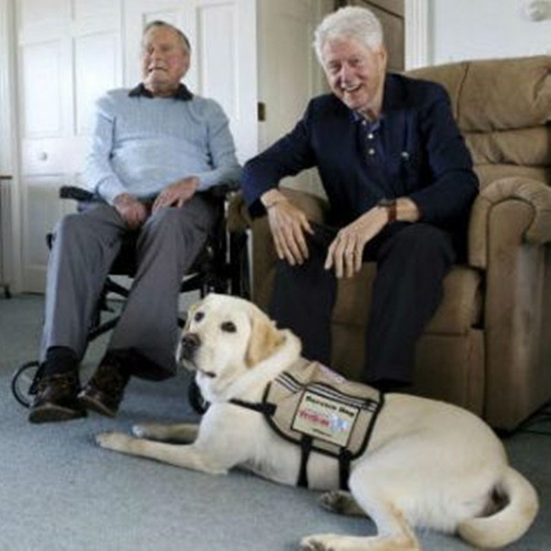 الرئيس السابق بوش يرحب بكلب الخدمة الجديد في مجمع كينبونكبورت